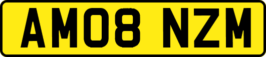 AM08NZM