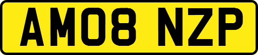 AM08NZP