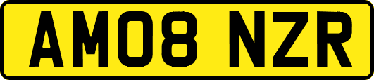 AM08NZR