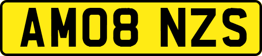 AM08NZS
