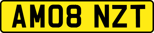 AM08NZT
