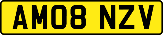 AM08NZV