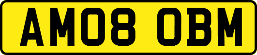 AM08OBM