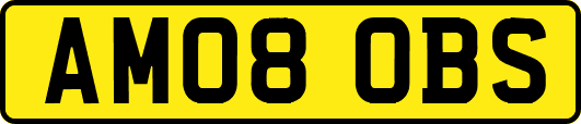AM08OBS