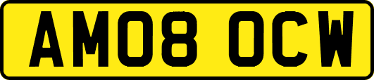 AM08OCW
