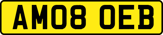 AM08OEB