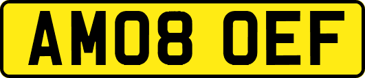 AM08OEF