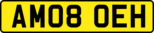 AM08OEH
