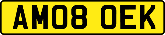 AM08OEK