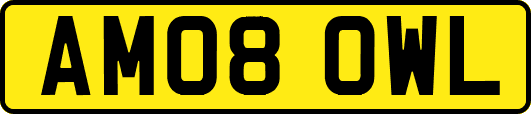AM08OWL