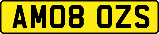 AM08OZS