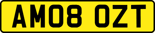 AM08OZT