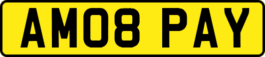 AM08PAY