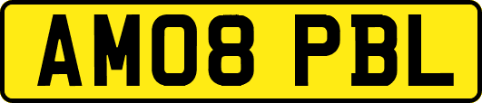 AM08PBL