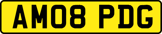 AM08PDG