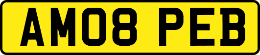AM08PEB