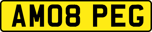 AM08PEG