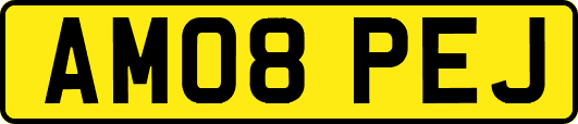 AM08PEJ