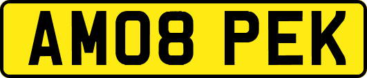 AM08PEK