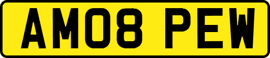 AM08PEW