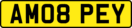 AM08PEY