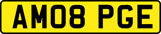 AM08PGE