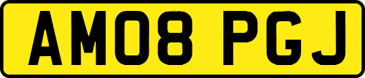 AM08PGJ