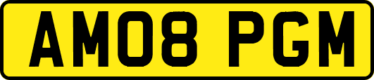 AM08PGM