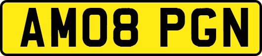 AM08PGN