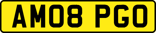 AM08PGO