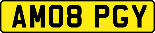AM08PGY