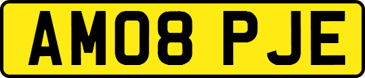 AM08PJE