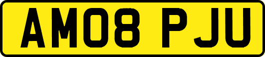 AM08PJU