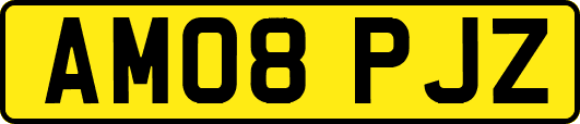 AM08PJZ