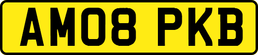 AM08PKB