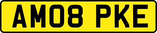 AM08PKE