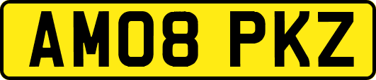 AM08PKZ