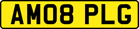 AM08PLG