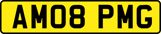 AM08PMG