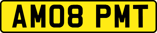 AM08PMT