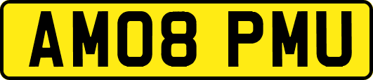 AM08PMU