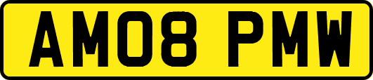 AM08PMW