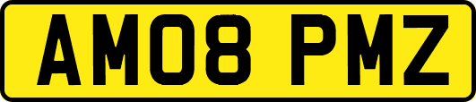 AM08PMZ