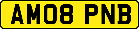 AM08PNB
