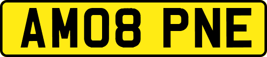 AM08PNE