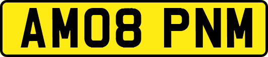 AM08PNM