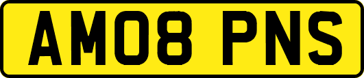 AM08PNS