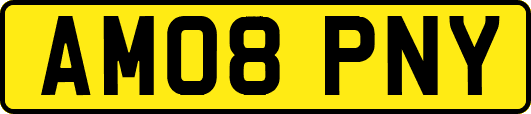 AM08PNY