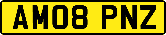 AM08PNZ