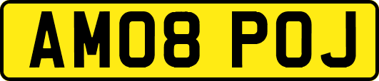 AM08POJ